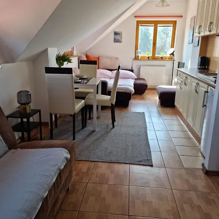 Apartamento Góra Czterech Wiatrów Nikutowo
